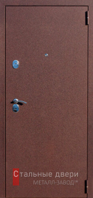 Входные двери с порошковым напылением в Протвино «Двери с порошком»